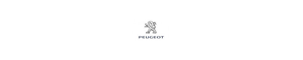 Misutonida predné rámy a nášľapy pre vozidlá Peugeot 3008