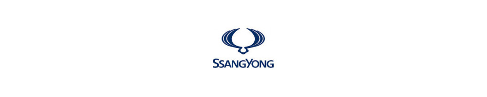 Misutonida predné rámy a nášľapy pre vozidlá SsangYong Rexton